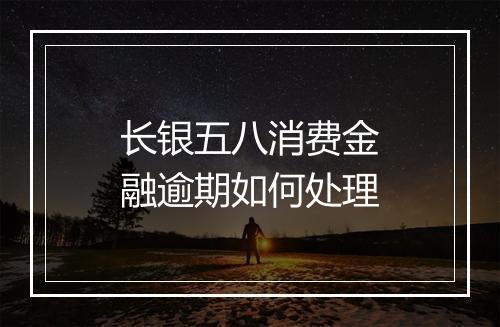 长银五八消费金融逾期如何处理