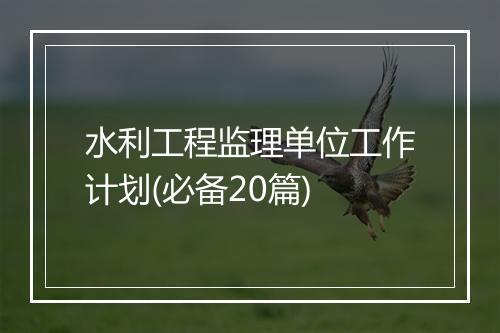 水利工程监理单位工作计划(必备20篇)