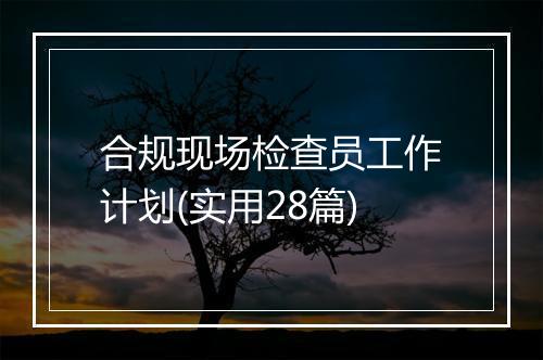 合规现场检查员工作计划(实用28篇)