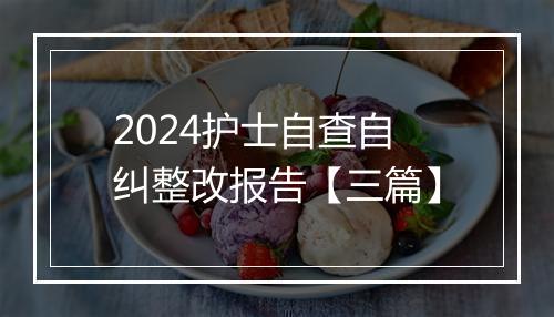 2024护士自查自纠整改报告【三篇】
