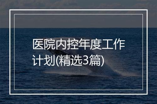 医院内控年度工作计划(精选3篇)