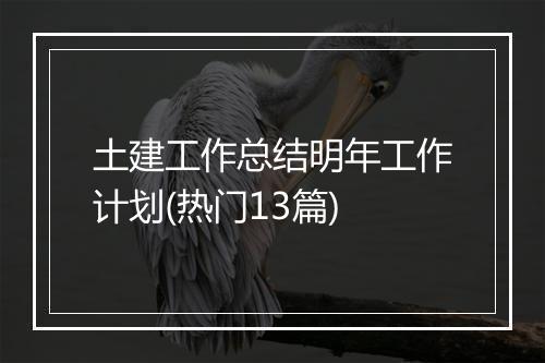 土建工作总结明年工作计划(热门13篇)