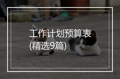 工作计划预算表(精选9篇)