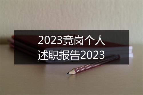 2023竞岗个人述职报告2023