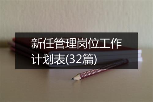 新任管理岗位工作计划表(32篇)