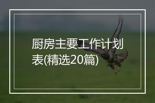 厨房主要工作计划表(精选20篇)