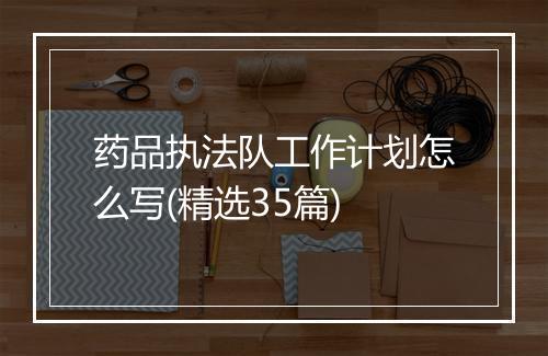 药品执法队工作计划怎么写(精选35篇)