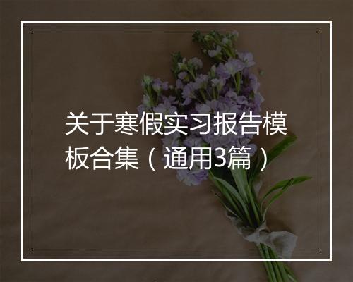 关于寒假实习报告模板合集（通用3篇）