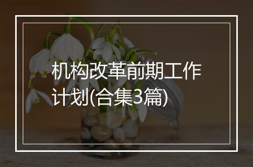 机构改革前期工作计划(合集3篇)