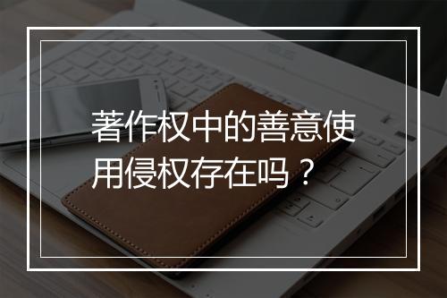 著作权中的善意使用侵权存在吗？
