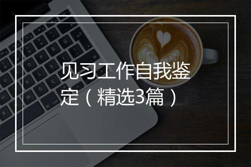 见习工作自我鉴定（精选3篇）
