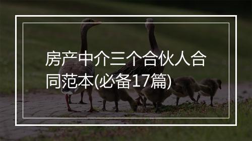 房产中介三个合伙人合同范本(必备17篇)