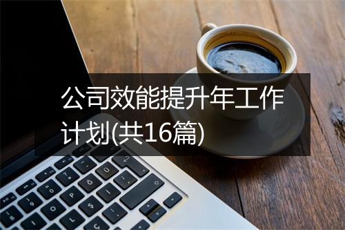 公司效能提升年工作计划(共16篇)