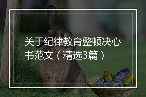 关于纪律教育整顿决心书范文（精选3篇）