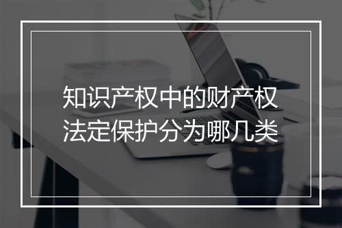 知识产权中的财产权法定保护分为哪几类