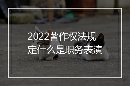 2022著作权法规定什么是职务表演