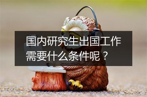 国内研究生出国工作需要什么条件呢？