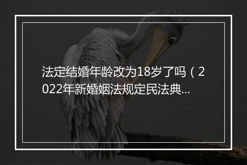 法定结婚年龄改为18岁了吗（2022年新婚姻法规定民法典）
