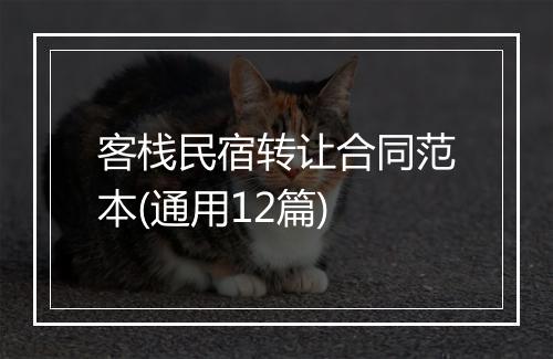 客栈民宿转让合同范本(通用12篇)