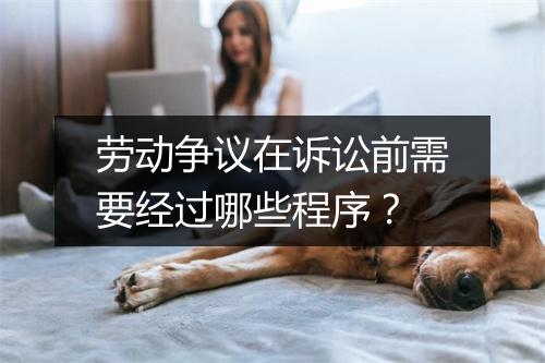 劳动争议在诉讼前需要经过哪些程序？
