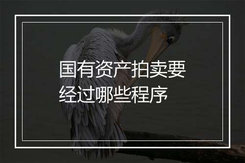 国有资产拍卖要经过哪些程序