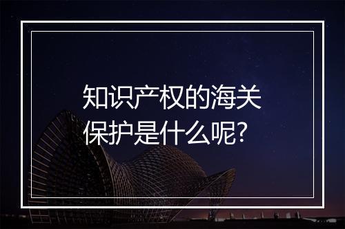 知识产权的海关保护是什么呢?