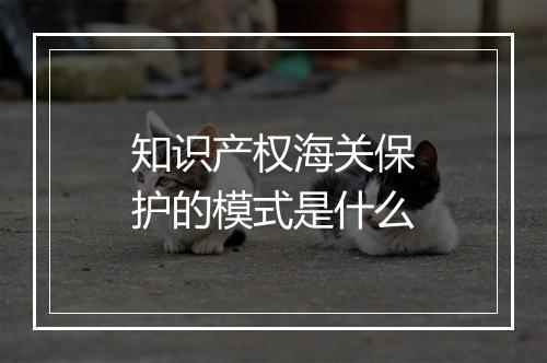 知识产权海关保护的模式是什么
