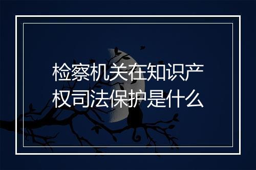 检察机关在知识产权司法保护是什么
