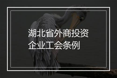 湖北省外商投资企业工会条例