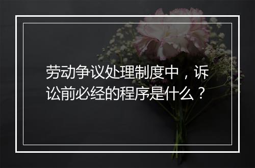 劳动争议处理制度中，诉讼前必经的程序是什么？