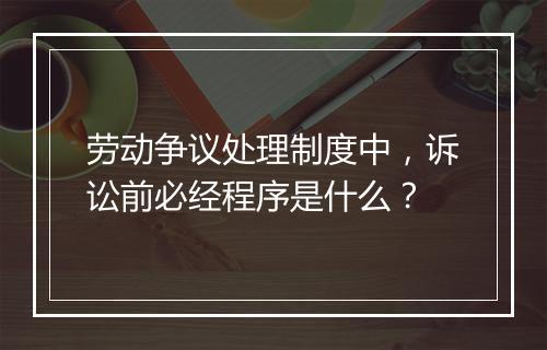 劳动争议处理制度中，诉讼前必经程序是什么？