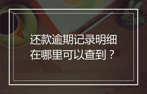 还款逾期记录明细在哪里可以查到？