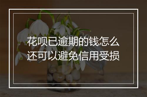 花呗已逾期的钱怎么还可以避免信用受损