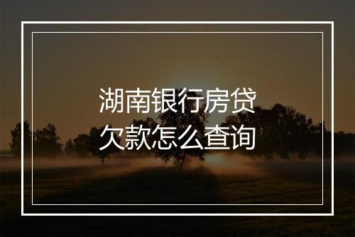 湖南银行房贷欠款怎么查询