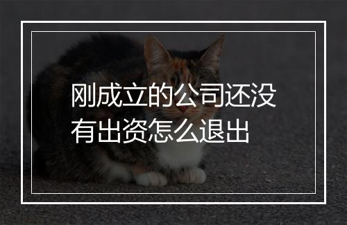 刚成立的公司还没有出资怎么退出