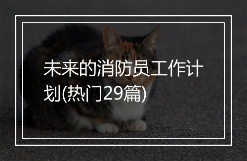 未来的消防员工作计划(热门29篇)