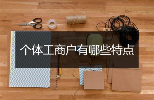 个体工商户有哪些特点