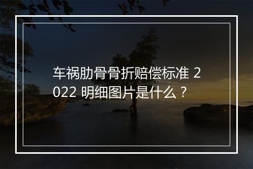 车祸肋骨骨折赔偿标准 2022 明细图片是什么？
