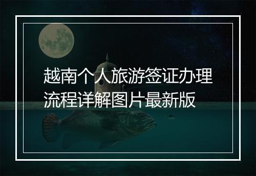 越南个人旅游签证办理流程详解图片最新版