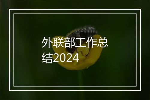 外联部工作总结2024