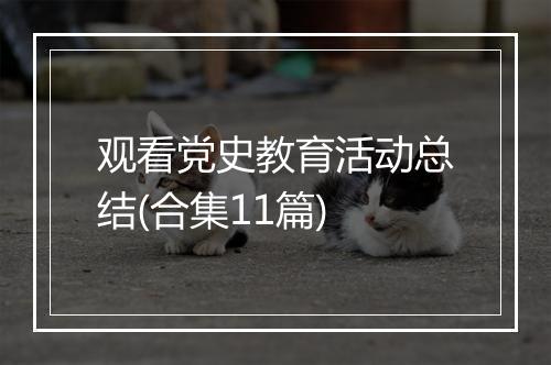 观看党史教育活动总结(合集11篇)
