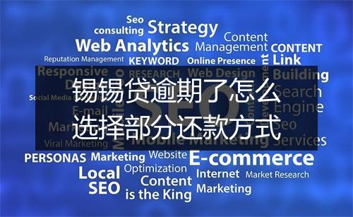 锡锡贷逾期了怎么选择部分还款方式