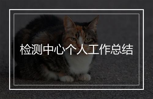 检测中心个人工作总结