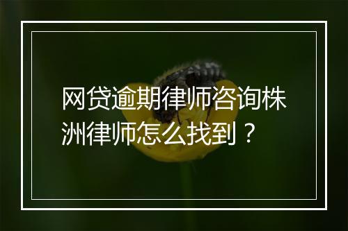 网贷逾期律师咨询株洲律师怎么找到？