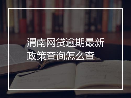 渭南网贷逾期最新政策查询怎么查