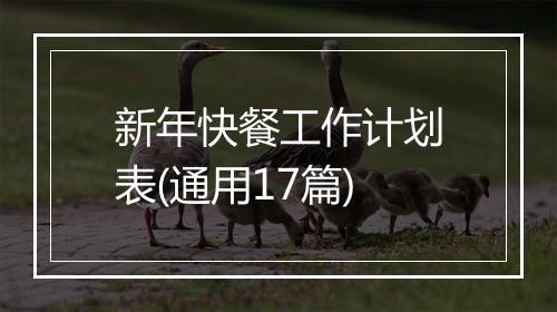 新年快餐工作计划表(通用17篇)