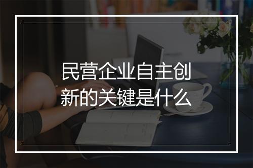 民营企业自主创新的关键是什么
