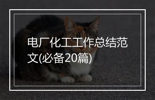 电厂化工工作总结范文(必备20篇)
