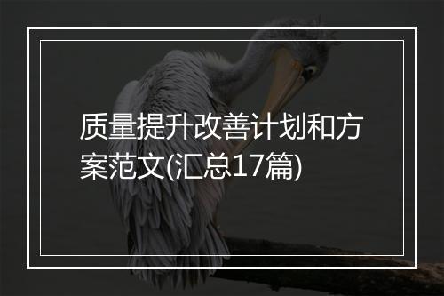 质量提升改善计划和方案范文(汇总17篇)