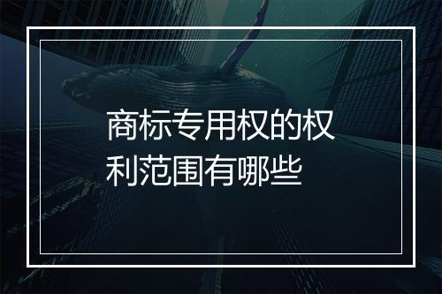 商标专用权的权利范围有哪些